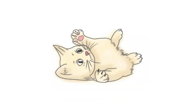 猫简笔画怎么画 猫简笔画顺序