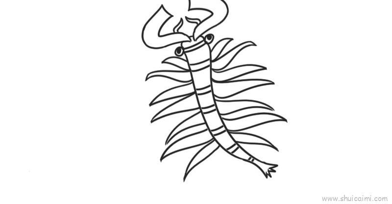 丰年虾儿童画怎么画 丰年虾简笔画简单