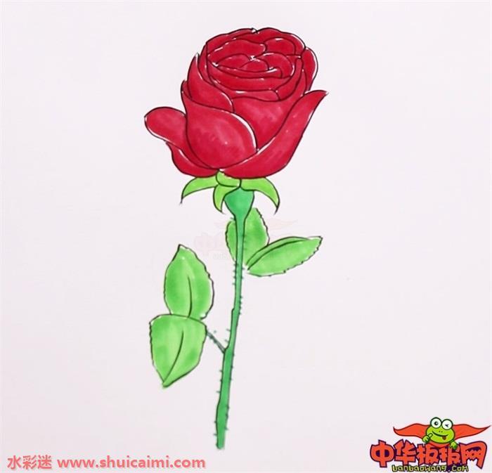 玫瑰花怎么画 玫瑰花简笔画步骤图