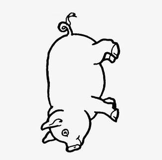 简笔画猪 简笔画猪可爱