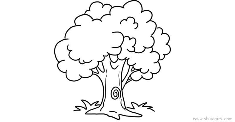 大树树干儿童画怎么画 大树树干简笔画图片大全