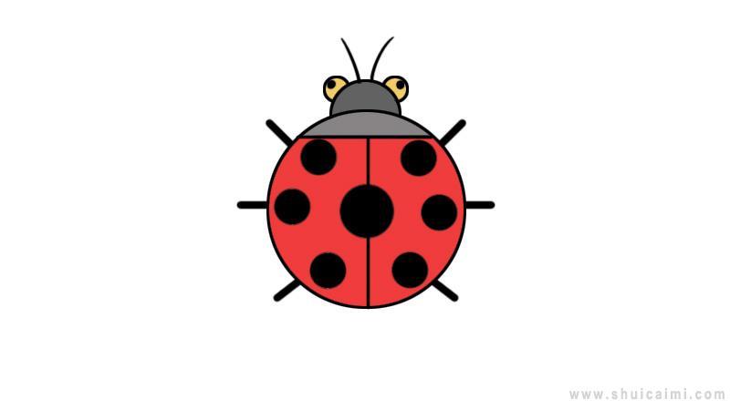 七星瓢虫简笔画怎么画 七星瓢虫简笔画步骤