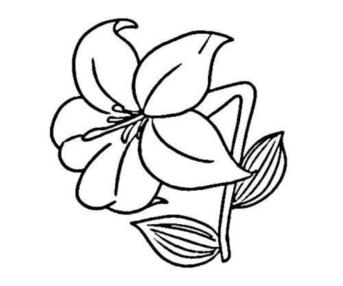 各种花简笔画图片大全 各种花简笔画图片大全大图