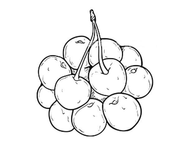 樱桃的简笔画图片大全 樱桃的简笔画图片大全可爱