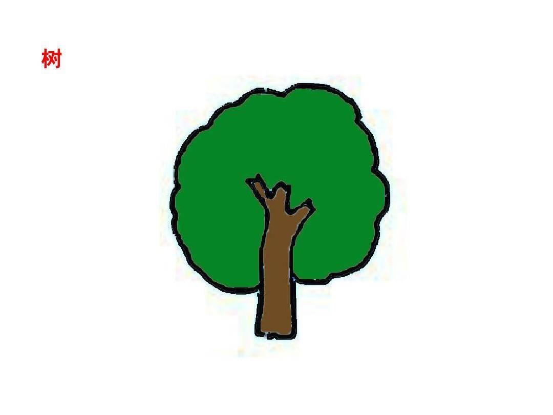 小树苗简笔画图片大全 小树苗简笔画图片大全彩色