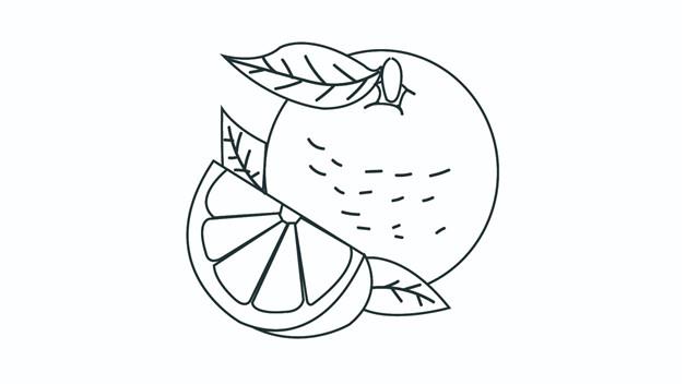 柚子的简笔画怎么画 柚子简笔画步骤