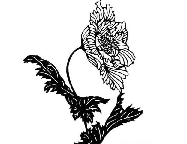 菊花叶子简笔画 菊花叶子简笔画图片