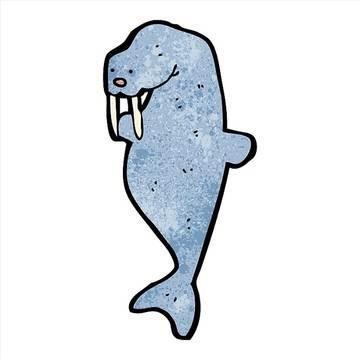 海象简笔画图片大全 海象简笔画图片大全大图