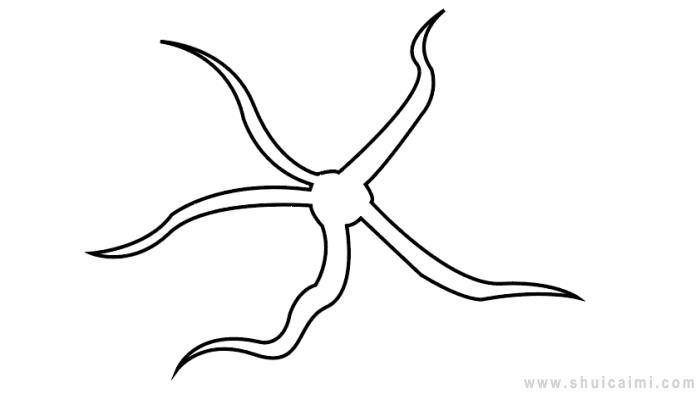 蛇海星简笔画怎么画 蛇海星简笔画简单又好看