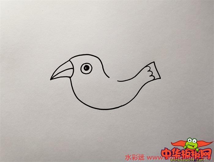 最海鸥怎么画 最海鸥简笔画简单易画彩色