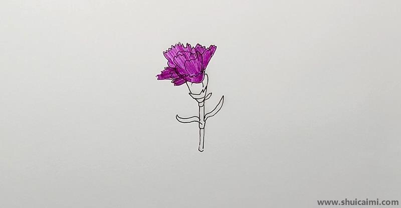 康乃馨儿童画怎么画 彩色康乃馨简笔画好看
