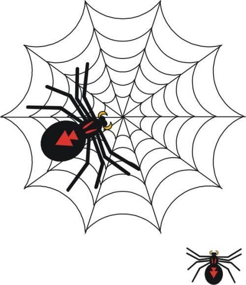 蜘蛛的简笔画 蜘蛛的简笔画图片大全