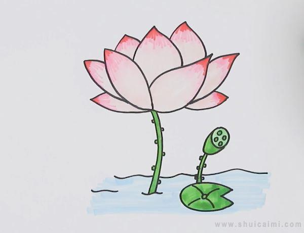 荷花简笔画怎么画 荷花简笔画好看