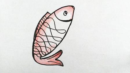 鲤鱼简笔画图片大全 鲤鱼简笔画图片大全彩色简单
