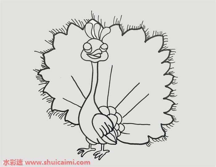 孔雀开屏简笔画怎么画画法