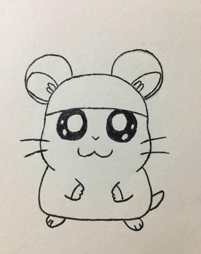 仓鼠简笔画 仓鼠简笔画大全可爱
