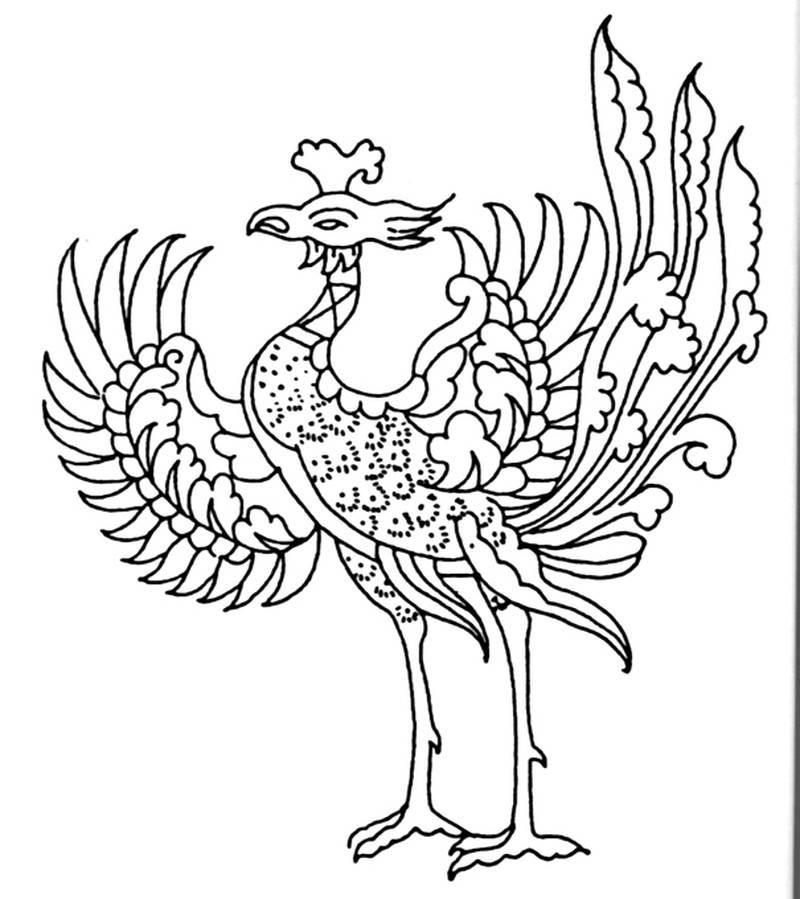 凤凰的简笔画图片大全 凤凰的简笔画图片大全带颜色