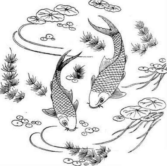 鲤鱼简笔画 鲤鱼简笔画简单又漂亮
