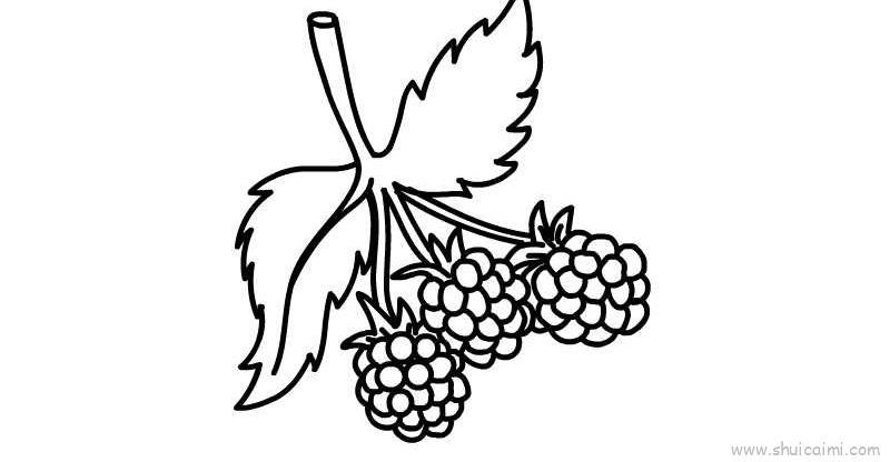 树莓儿童画怎么画 树莓简笔画好看