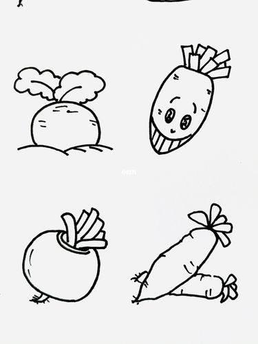 白萝卜简笔画 白萝卜简笔画图片