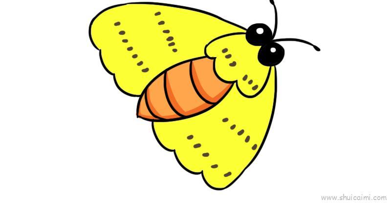 飞蛾儿童画怎么画 飞蛾简笔画画法