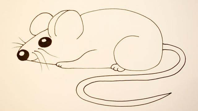小老鼠简笔画 小老鼠简笔画图片