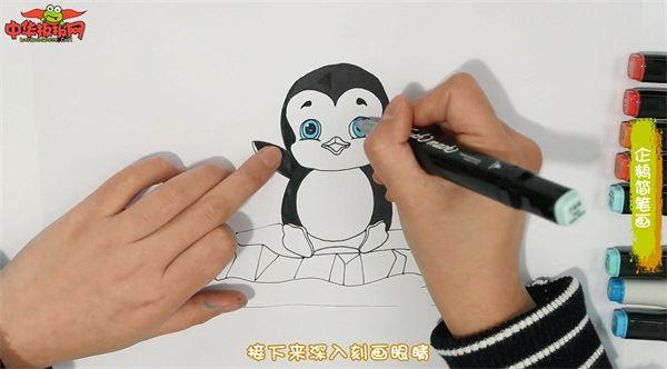企鹅怎么画 企鹅简笔画漂亮卡通