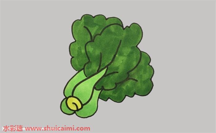 青菜怎么画 青菜简笔画简单易画彩色