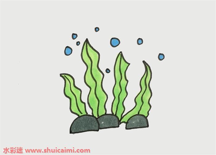 海草怎么画 海草简笔画步骤