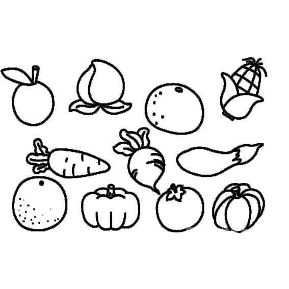蔬菜简笔画 蔬菜简笔画儿童画