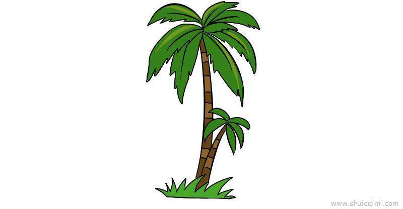 椰树儿童画怎么画 椰树简笔画顺序