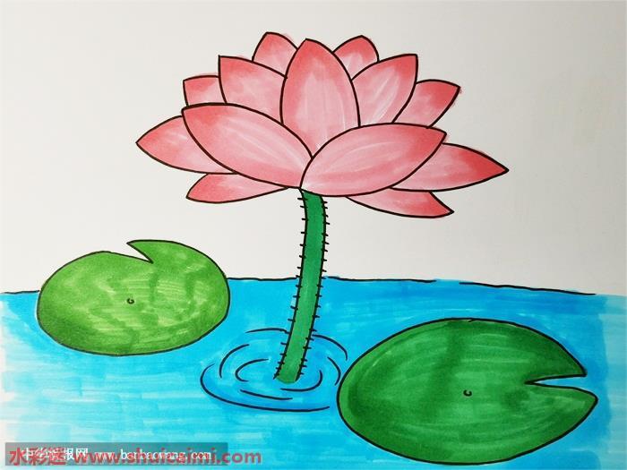 荷花怎么画 荷花简笔画漂亮卡通