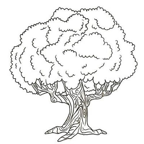 简笔画大树 简笔画大树图片