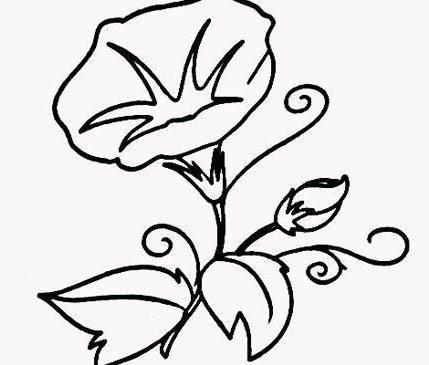 植物的简笔画 植物的简笔画花草树木