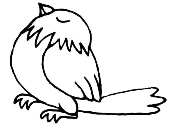 幼儿园画小鸟简笔画图片大全 小鸟的简笔画图片大全可爱 简单