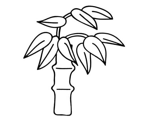 竹子简笔画图片大全 大熊猫竹子简笔画图片大全