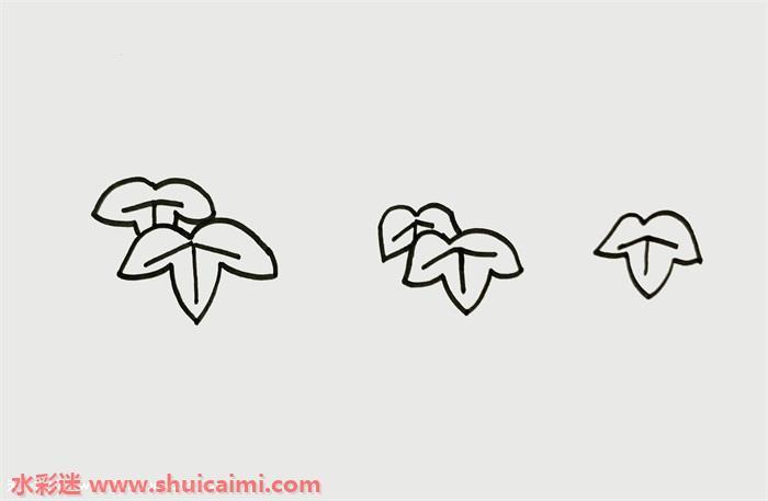 葡萄树怎么画 葡萄树简笔画步骤图