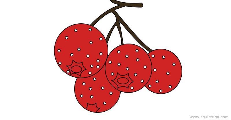 山楂教程儿童画怎么画 山楂教程简笔画好看