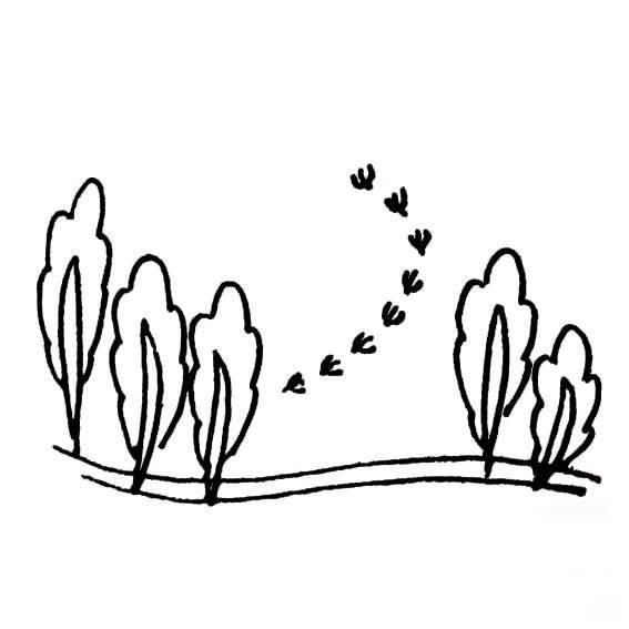 公园简笔画 公园简笔画简单又漂亮