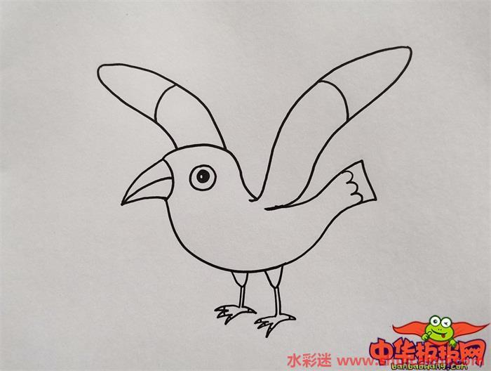 最海鸥怎么画 最海鸥简笔画简单易画彩色