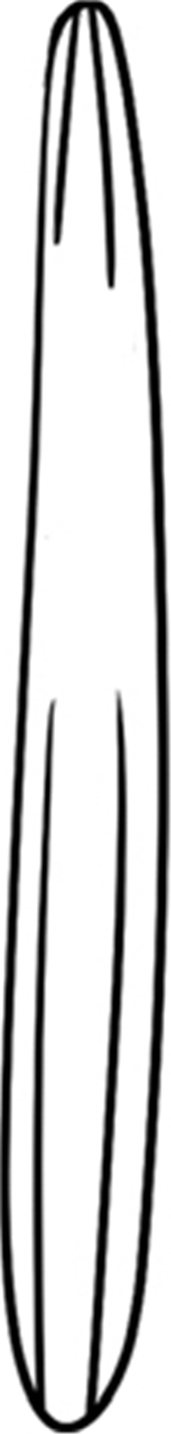 细长的丝瓜简笔画怎么画 细长的丝瓜简笔画简单