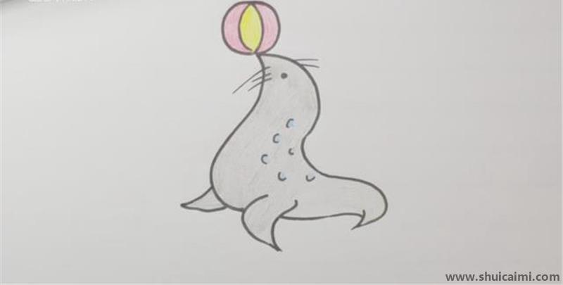 海豹儿童简笔画怎应该怎么画,海豹简笔画的详细步骤教程