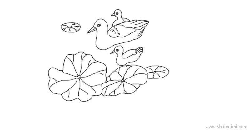 池塘里的小鸭简笔画绘画教学