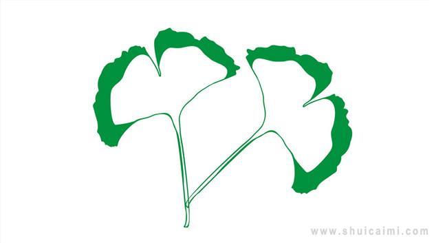 银杏叶简笔画怎么画 银杏叶简笔画顺序