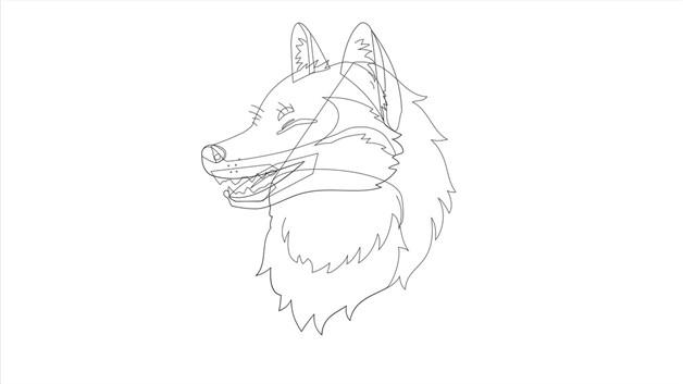 狼头简笔画怎么画 狼头简笔画简单又好看