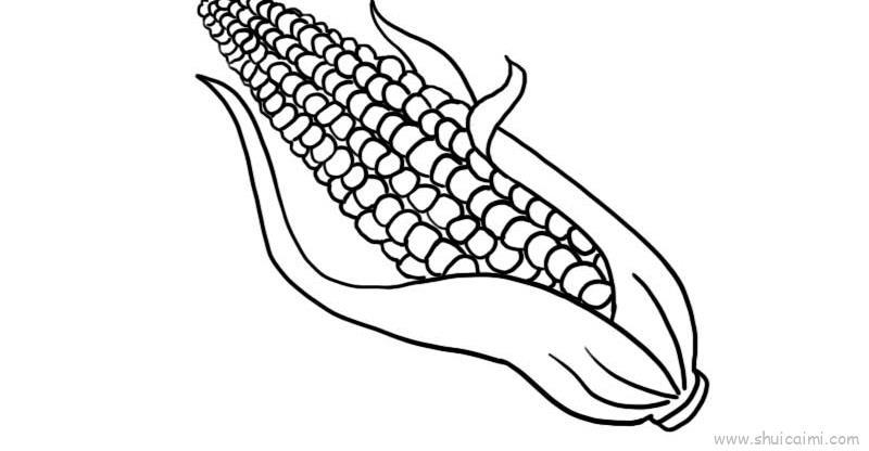 感恩节玉米儿童画怎么画 感恩节玉米简笔画图片大全
