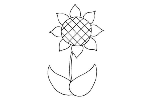 简笔画向日葵
