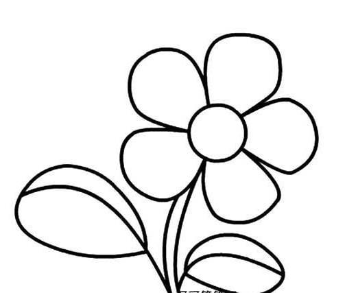画花简笔画 如何画花简笔画
