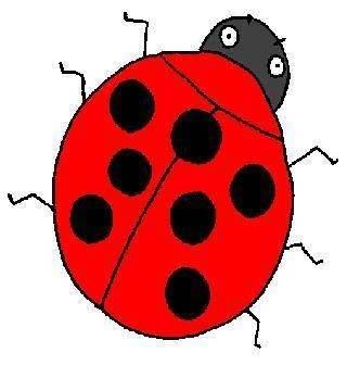 动物简笔画图片大全带颜色 卡通动物简笔画图片大全带颜色