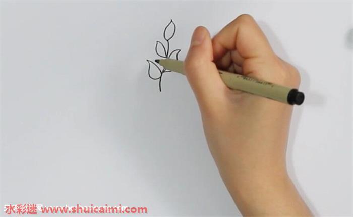 茶树怎么画 茶树简笔画简单好看带颜色